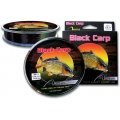 Риболовно влакно - FOCUS BLACK CARP 300M
